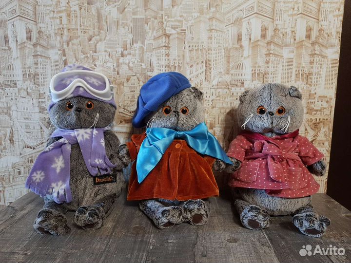 Кот Басик художник, Лыжник, Басик в халате