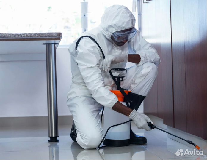 Уничтожение тараканов, клопов, комаров, крыс мышей