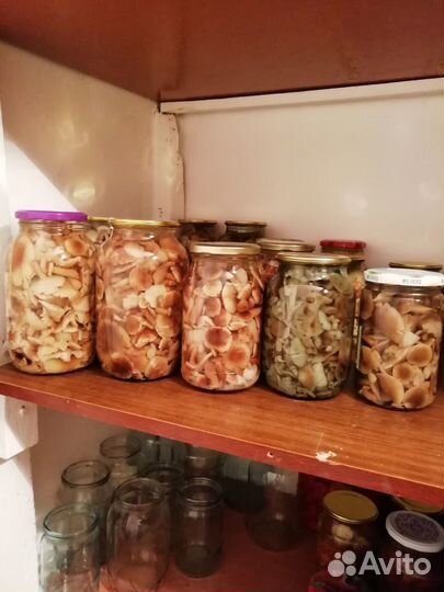 Грибы опята маринованные