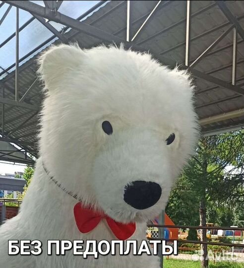 Белый мишка поздравление Ростовая кукла