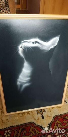 Аэрография в Шексне