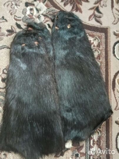 Шкурка животного внутрии