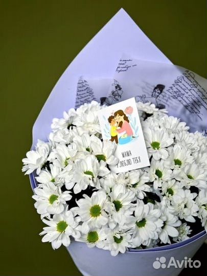 Цветы хризантемы Большой Букет