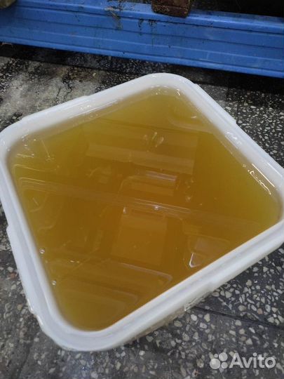 Свежий мёд эспарцетовый Качка 2023 опт