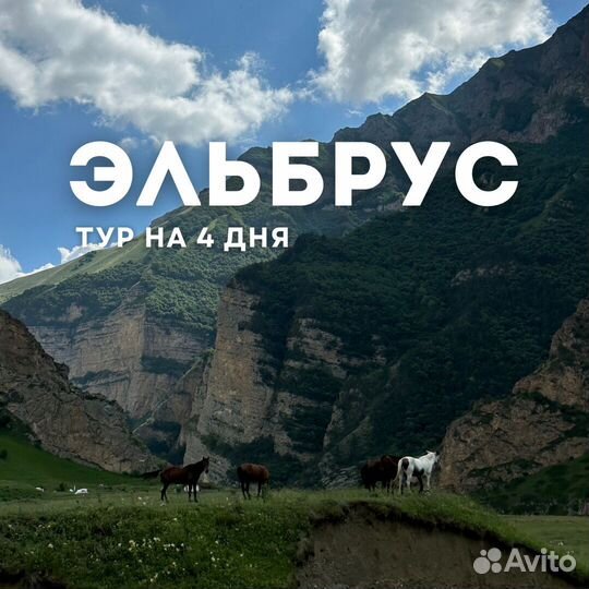 Тур на Эльбрус по тарифу для молодых семей