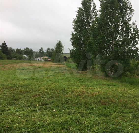 Участок 14,5 сот. (ИЖС)