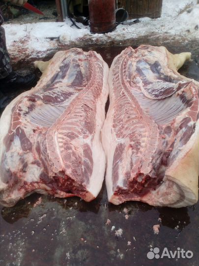 Домашнюю свинину