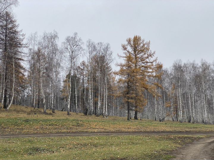 Участок 15 сот. (ИЖС)