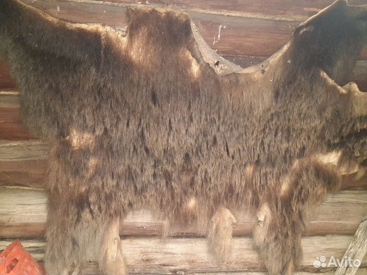 Шкура медведя имитация