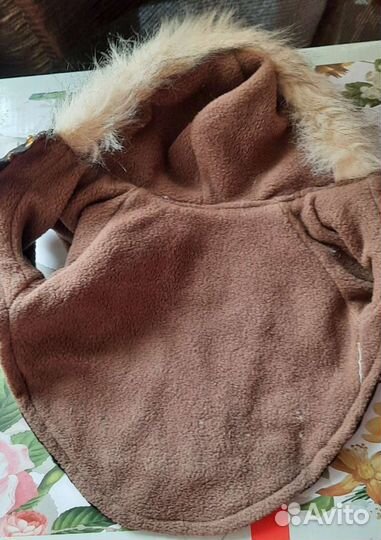 Вещи для маленькой микро собачки