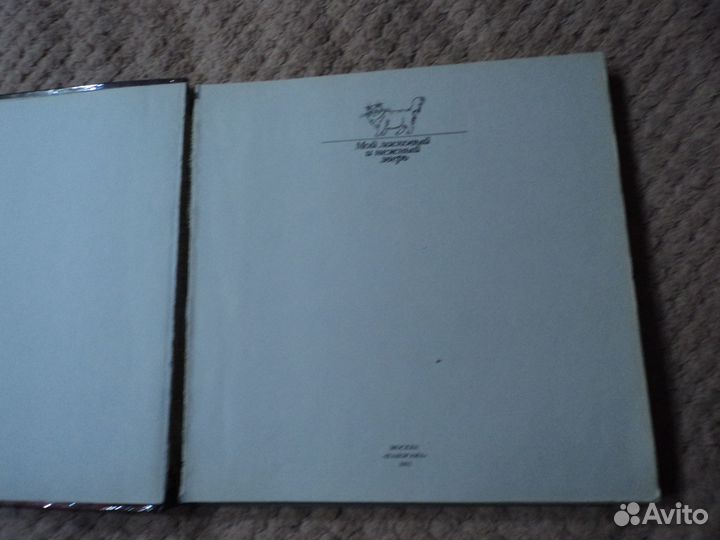 Мой ласковый и нежный зверь (1992).Кошки