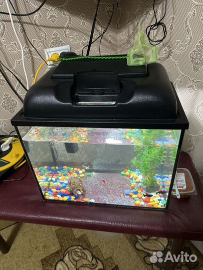 Аквариум с рыбками