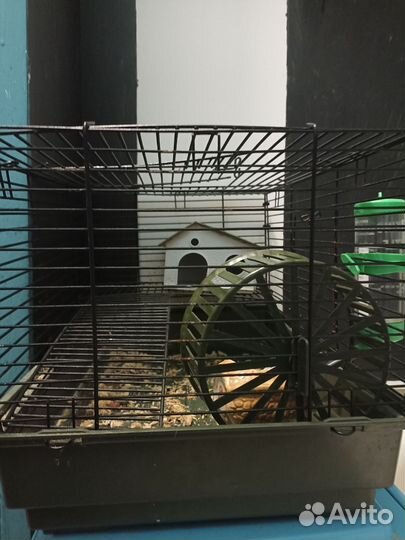 Крыса с клеткой