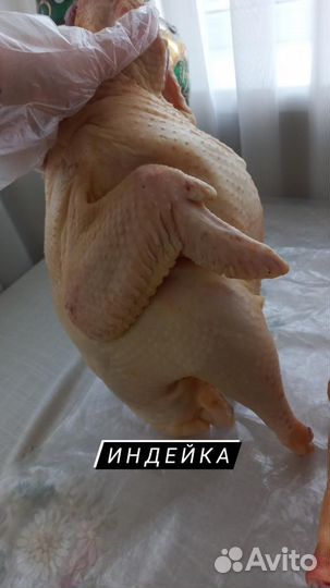 Тушки птицы