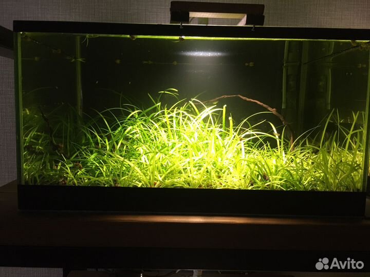 Аквариумы, фильтр Акваель