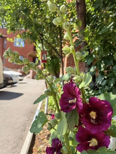 5-к. квартира, 147 м², 10/15 эт.