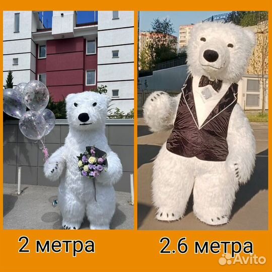 Белый мишка, поздравление Панда ростовой медведь