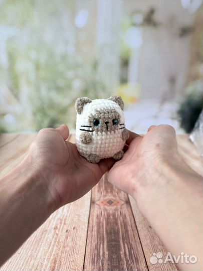 Котик-каадратик сиамский крючком