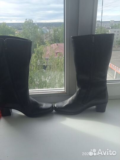 Сапоги женские