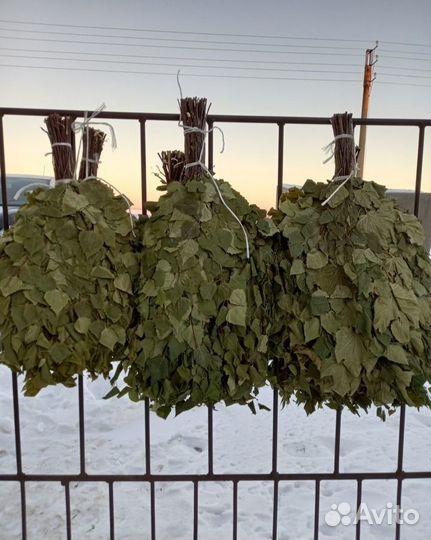 Веники для бани березовые