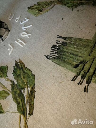 Свечи восковые с крапивой