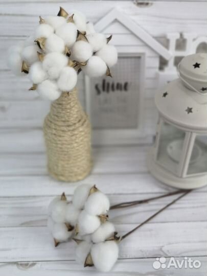 Хлопок сухоцвет