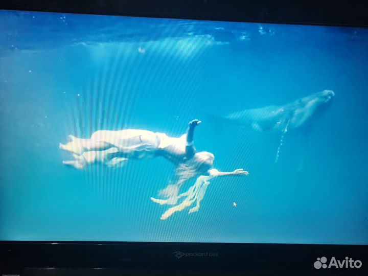 Ноутбук packard bell