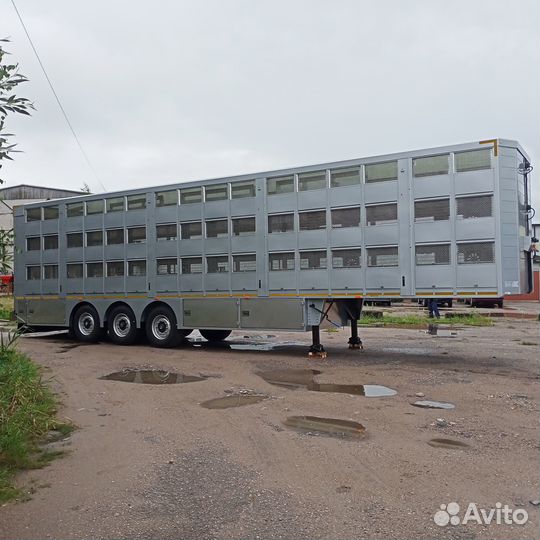 Полуприцеп для перевозки скота Балтспецмаш Скотовоз, 2023
