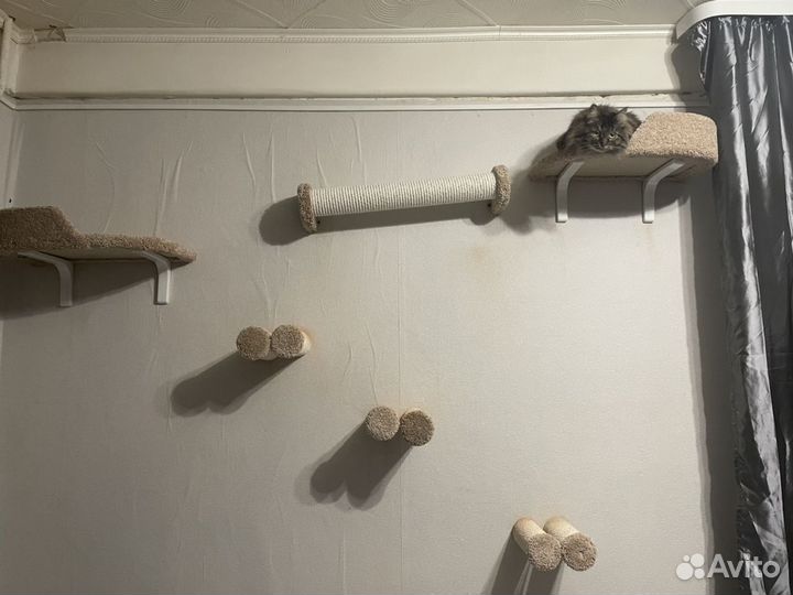 Настенный комплекс для кошек