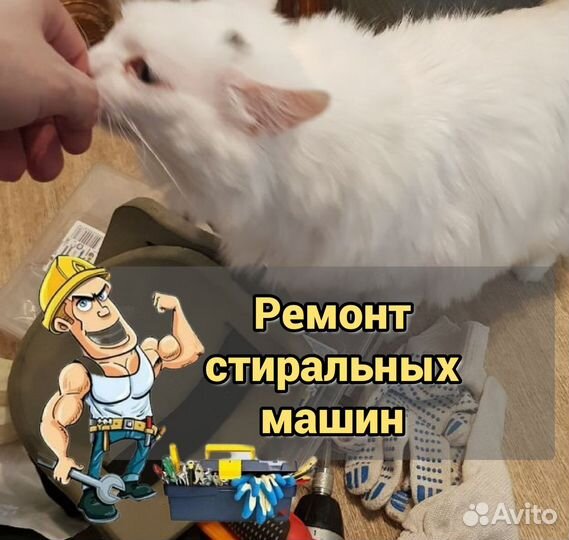 Ремонт стиральных и посудомоечных машин