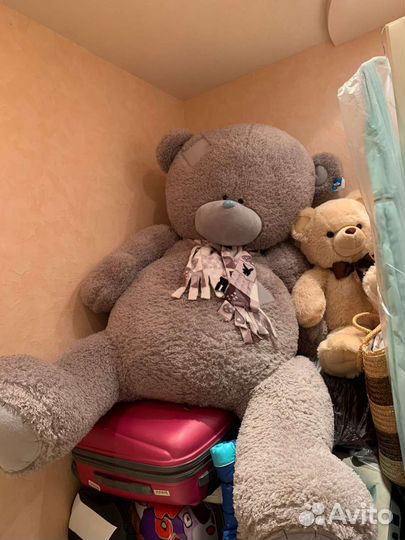 Плюшевый медведь me to you новый