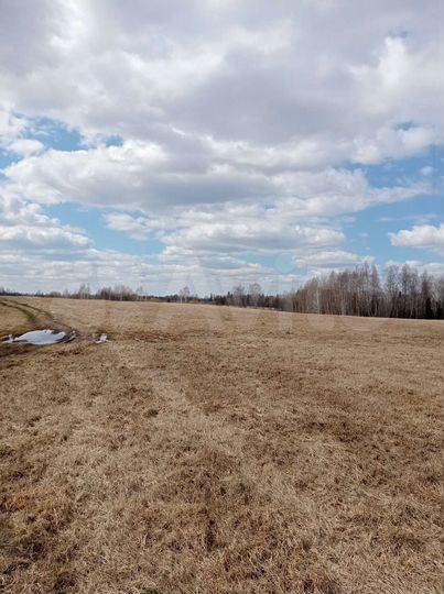 Участок 100 сот. (СНТ, ДНП)