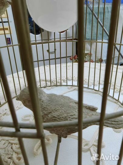 Люстра в виде клетки. Франция. Стиль Прованс