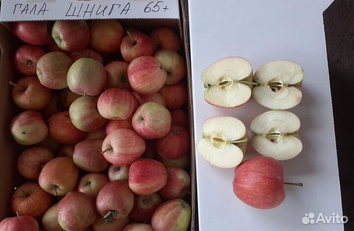 Яблоки Оптом