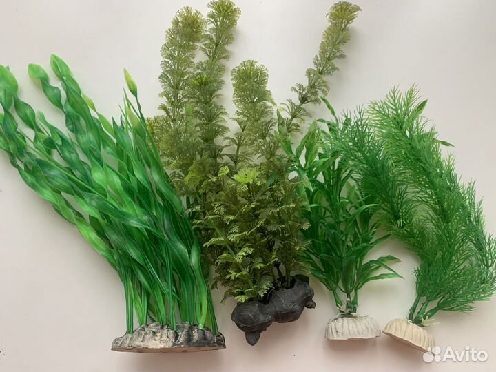 Обмен на анубиас Украшение для аквариума
