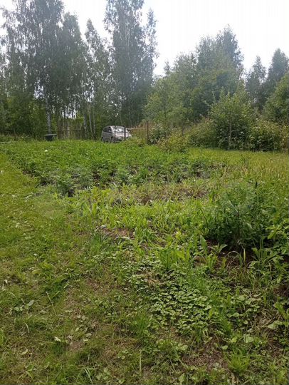Участок 9 сот. (СНТ, ДНП)