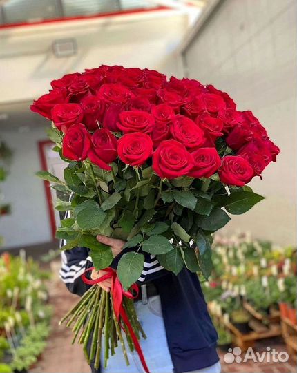 Высокие Розы Гиганты Доставка Круглосуточно