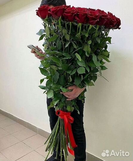 Высокие розы Гигантские розы Доставка цветов