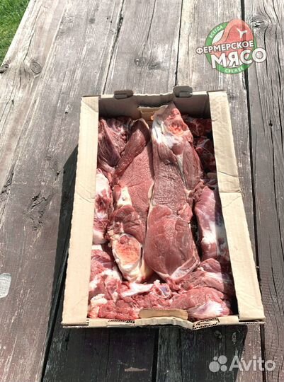 Мясо говядина