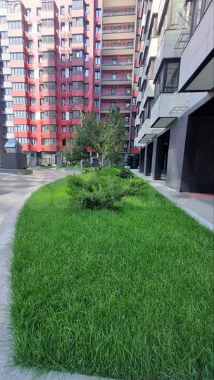 Квартира-студия, 30 м², 7/25 эт.