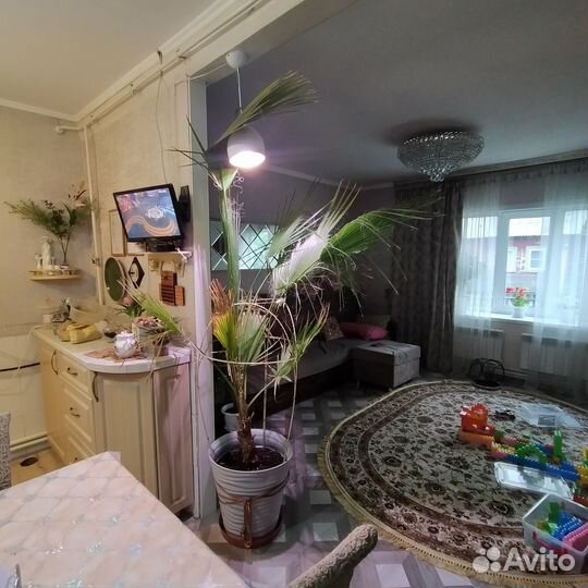 Пальма Вашингтония