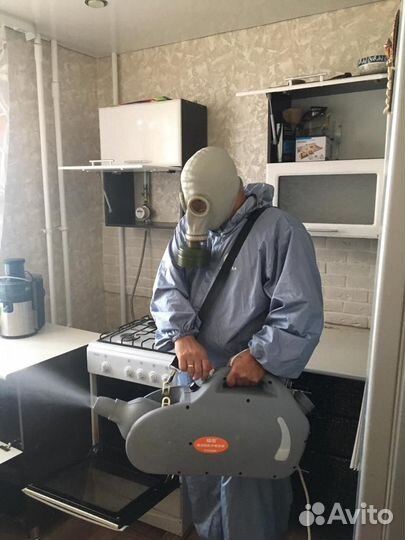 Уничтожение тараканов, клопов, блох, грибка