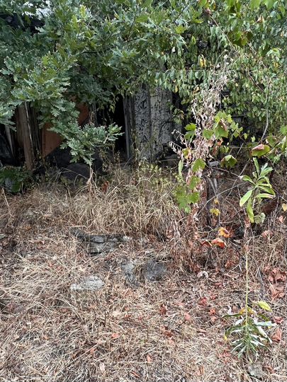 Участок 6 сот. (СНТ, ДНП)