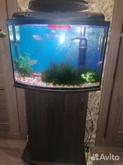 Продаются аквариумы