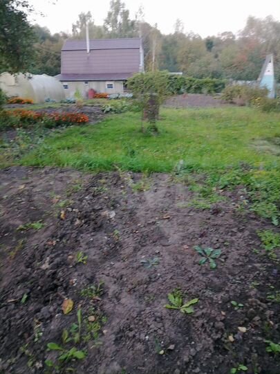 Дом 12 м² на участке 6 сот.