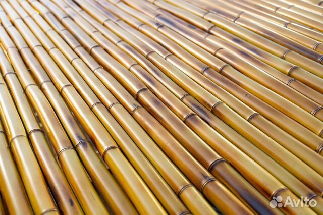 Бамбуковые стволы объявление продам