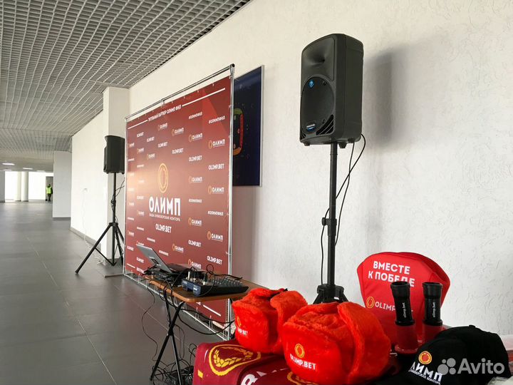 Аренда звука для промо-акции