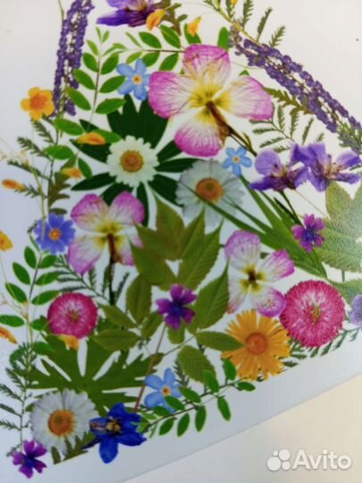 Открытки, елочка, новый год 10*10см