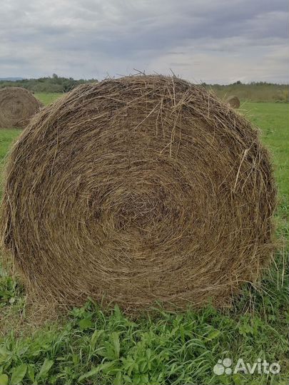 Солома в тюках