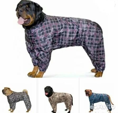 Одежда для собак и кошек